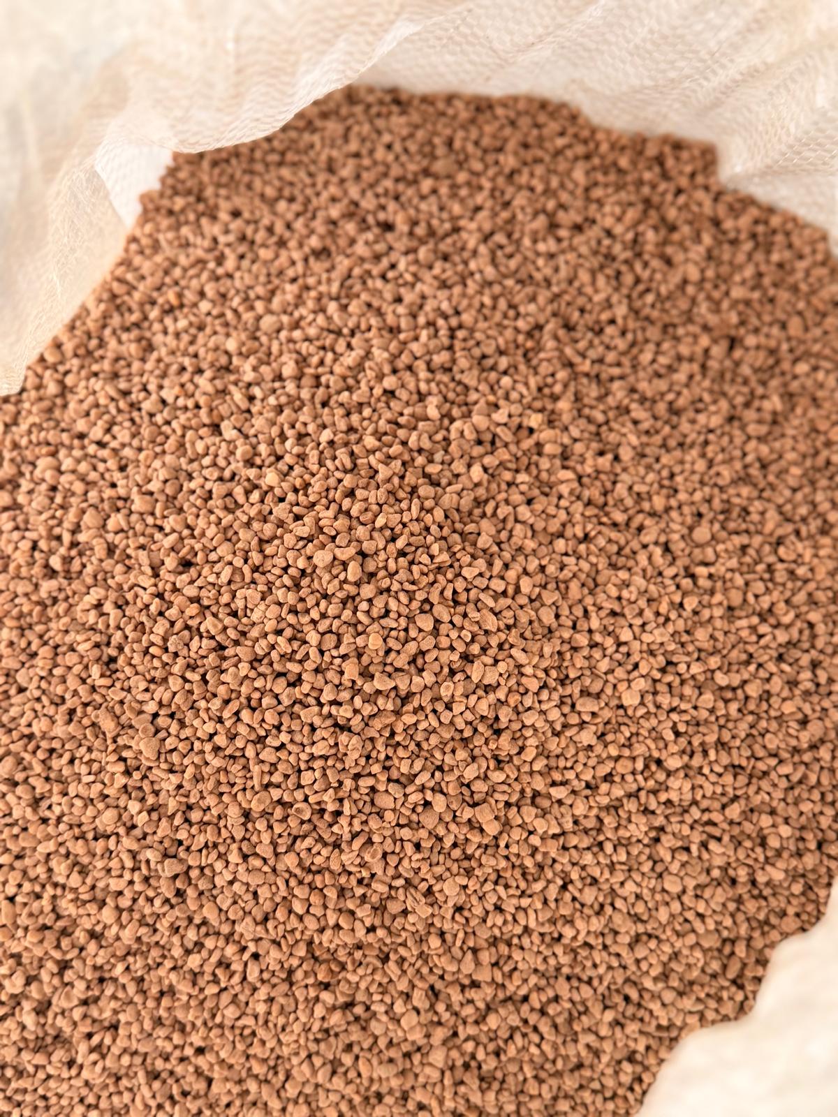 Nocciolino di oliva