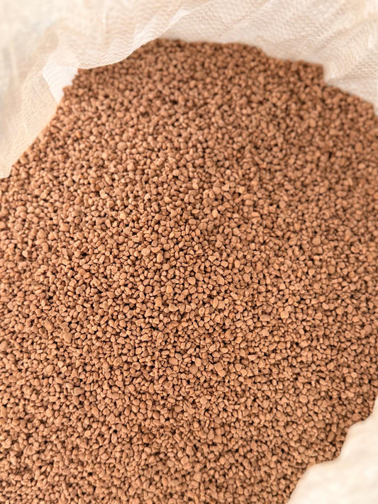 Nocciolino di oliva